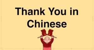 谢谢
